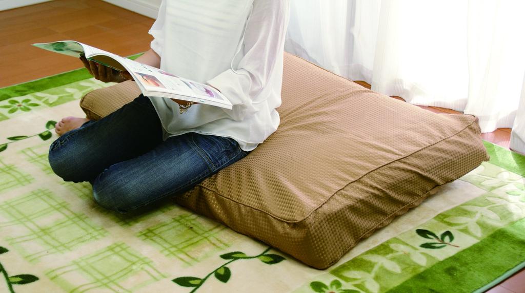 Futon De Cushion (for Futon Mattress) Brown