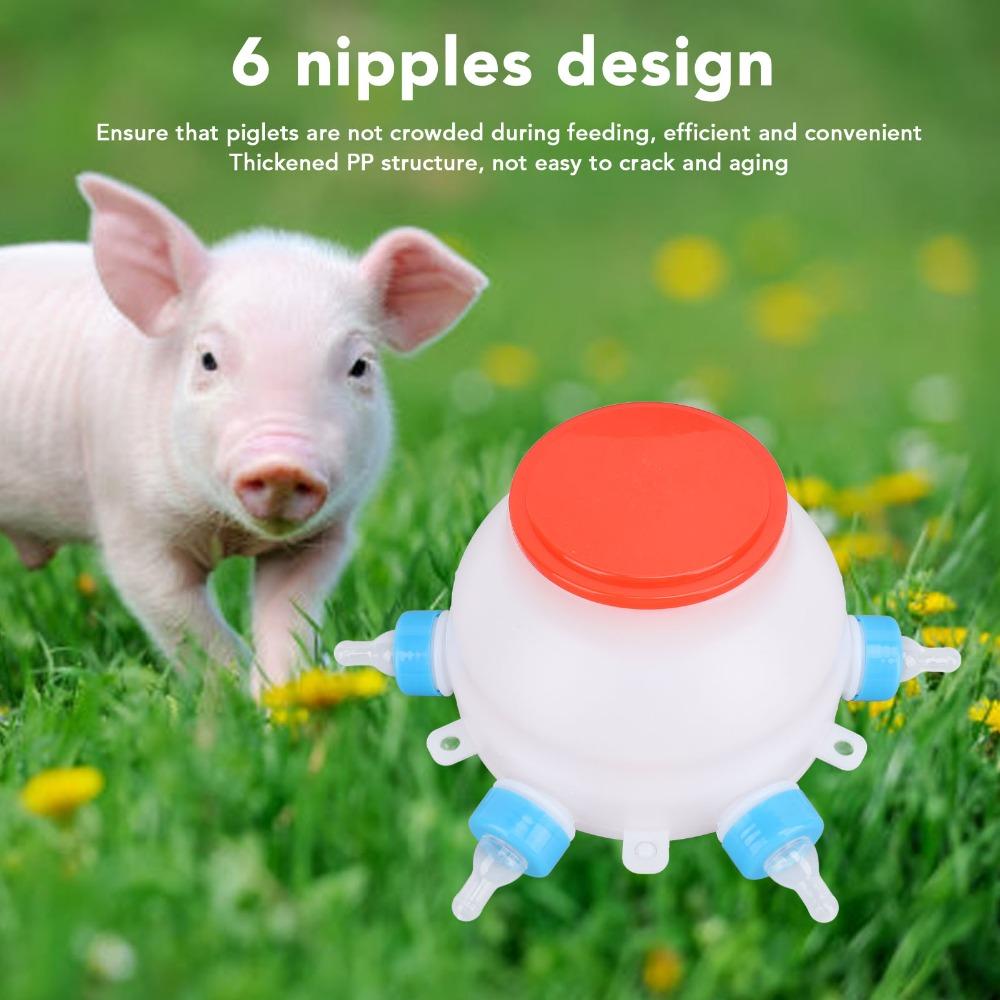 13 Pcs Set 2.6 Quart Lamb Milk Bottle Thickened Piglet Feeder Bottle  Young Livestock