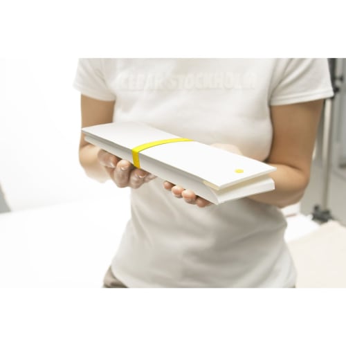 Hosho Foldable Flat Lunch Box, Medium, Hana, Reusable, LB-085-MHA