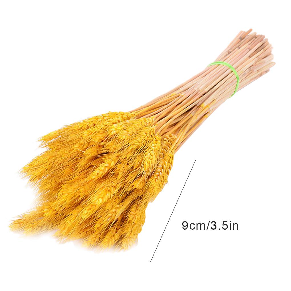 Home Decor Natural Dried Flowers Dried Wheat Bouquet Wheat Ear