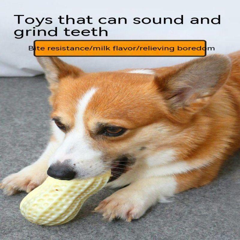 Pet Dog Soundmaking Toy Peanut Relief Tool Teeth Grinding and Bite Resistant Corgi Teddy Chai Dog Small Dog