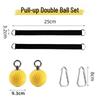 Longchan Home Pull-up Assist Training Ball Set