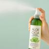 FRUIT OF THE EARTH Aloe Cica Moisture Calming Mist Toner, 1 pc, 250ml