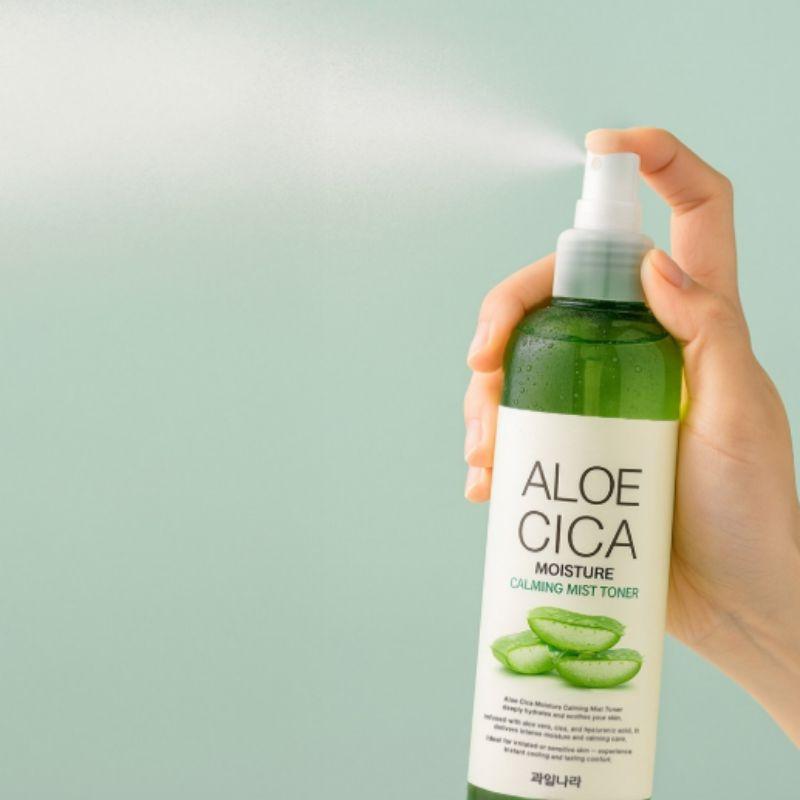FRUIT OF THE EARTH Aloe Cica Moisture Calming Mist Toner, 1 pc, 250ml