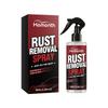 Rostentferner Spray 100ML, Rostumwandler für Karosserie, Schnell wirkender Lackoberflächenreiniger, Entfernt Oxidation & Stellt Glanz für Metallteile am Auto wieder her