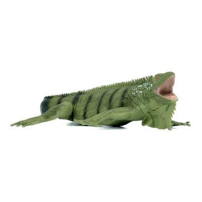 Safari Ltd 267729 Figurină Iguana, jucării populare în Coreea