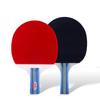 Oem Fisch Tischtennis Schläger, Doppel Schläger mit Ball Set, Anfänger Schüler Training Komplett Schläger 236a