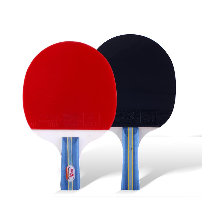 Oem Fisch Tischtennis Schläger, Doppel Schläger mit Ball Set, Anfänger Schüler Training Komplett Schläger 236a