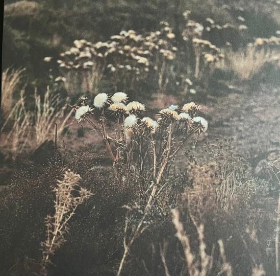 

LP Пластинка SHAOLIN AFRONAUTS - Fundamental Nature Of Being, Part T FSRLP136 Freestyle Recor 2022 UK Jazz