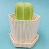Creative Pot Brush Prickly Pear Nano Cleaning Ball Gradient Color Cleaning Brush Pot Brush