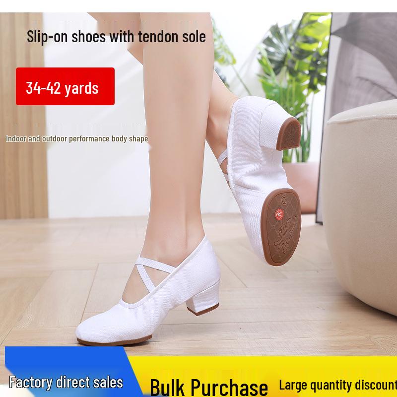 Women's Lace-Free Ballet Heeled Dance Shoes with Soft Sole for Yoga and Classical Dance