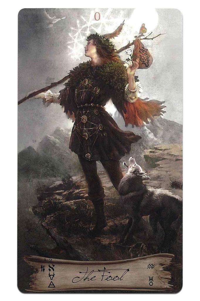 Nichiyu Tarot Card Waite Fortune Telling Earth Includes Japanese Commentary Colors and Delicate 78-Card Set, Edition, [Officially Imported] [Heaven &