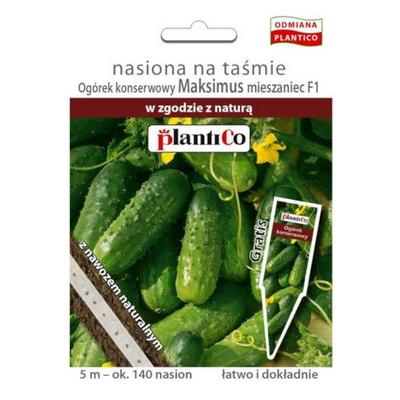 Maksimus mletá semena okurek na zeleninovém pásu na zahradu 5m