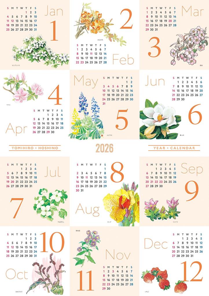 Tomihiro Hoshino 2026 Calendar Poetry and Art Collection Refill Replacement No. 6126