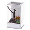 Acryl-Terrarium für Gottesanbeterinnen, Stabschrecken, Insekten Allegro