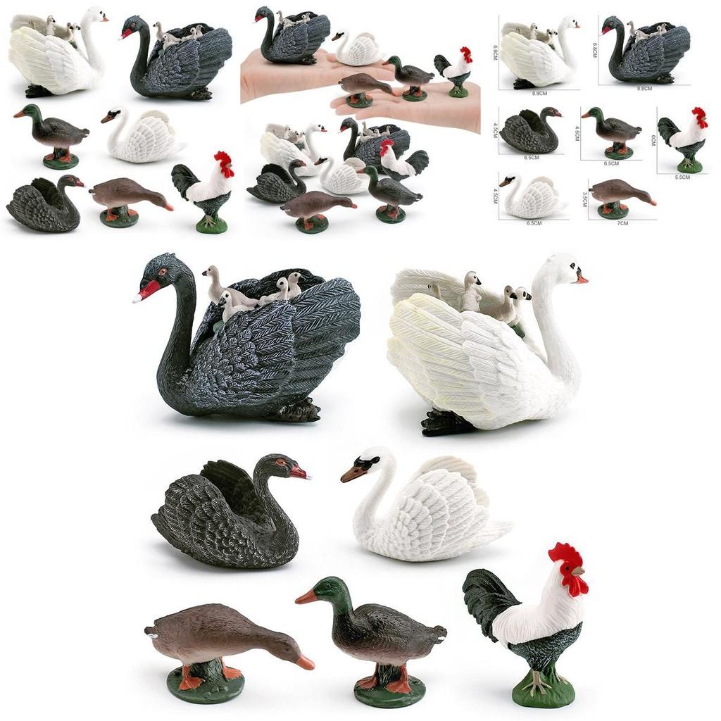 Animal Figurine With Realistic Plastic Ducks Rooster Swans For Educational Display And Collecting