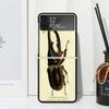 Bugs Bees Scientific Decomposition Phone Case Cover for Samsung Galaxy Z Flip 7 6 5 4 3 5G Flip3 Flip4 Flip5 ZFlip6 ZFlip7 Black