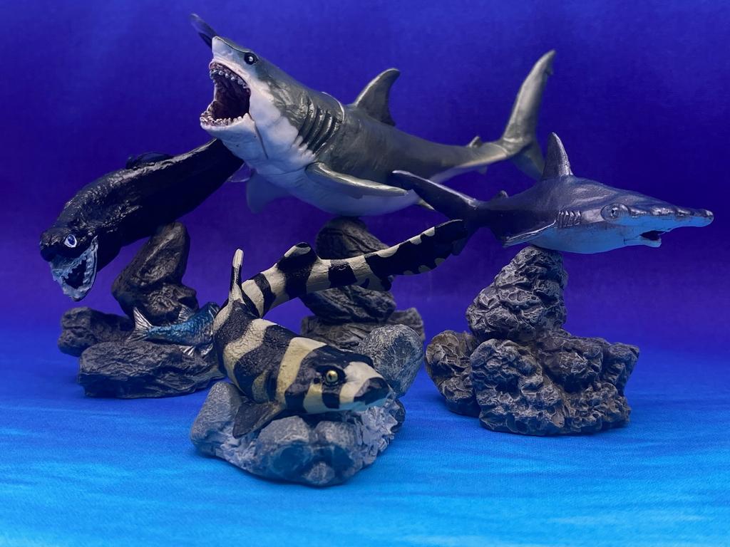 GACHA Ecological Atlas FIGURE MINI Shark Hammerhead Shark Hammerhead Shark Deep-Sea Creatures ACTION Figure Model Toys