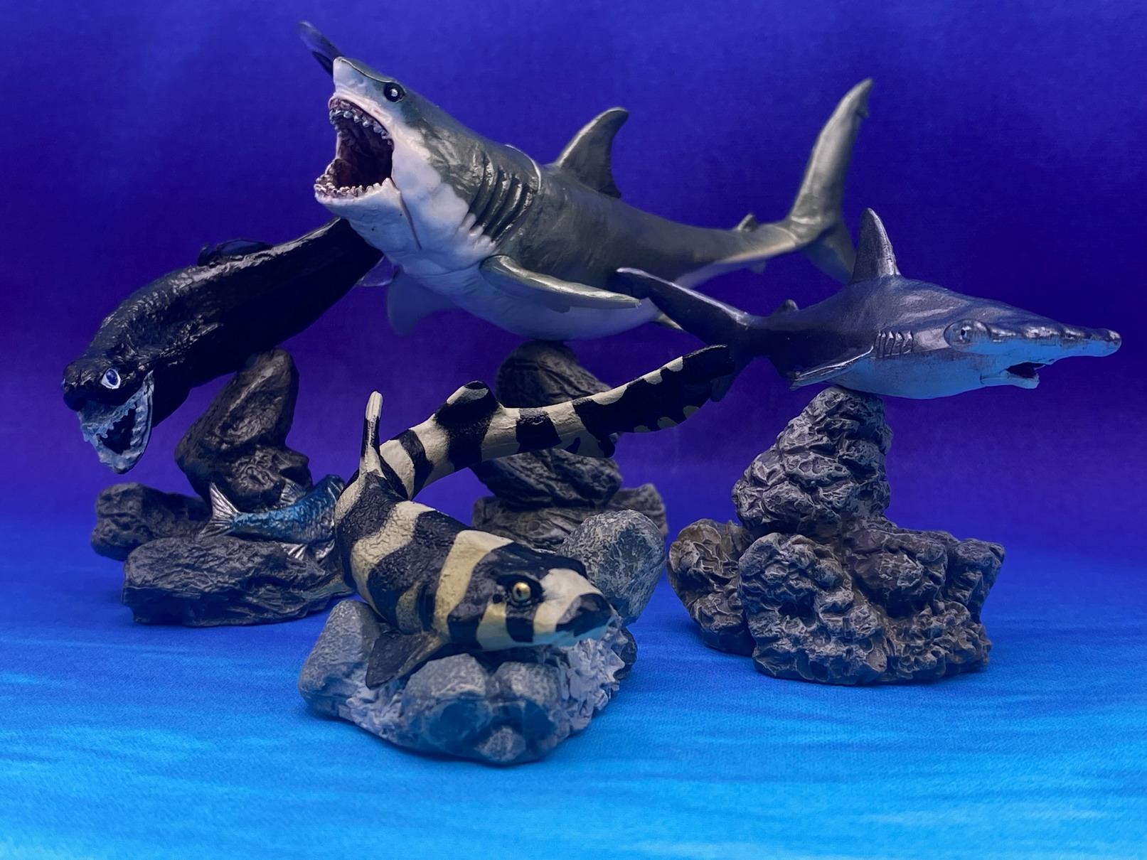 Yiran Toy 1 Gacha Ecological Atlas Figure Mini Shark Hammerhead Shark Hammerhead Shark Deep-Sea Creatures Action Model Figure Toys Premium Quality