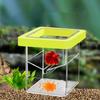 Box Hatchery Acrylic Easy To Clean Nursery Clear Sturdy Breeding for