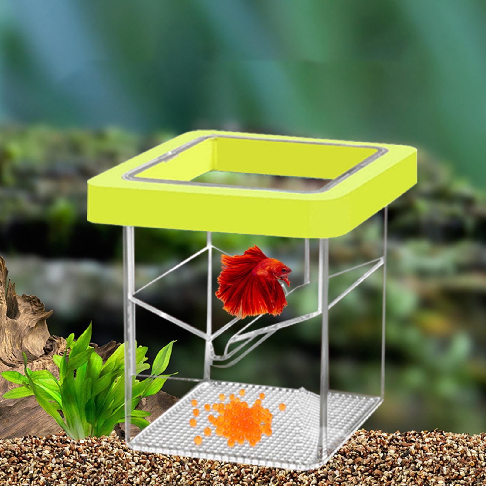 

Box Hatchery Acrylic Easy to Clean Nursery Clear Sturdy Breeding for жовтий