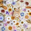 46 Stück/Box Grüne Waldserie Aufkleber Ästhetische Aufkleber Tagebuch Planer Dekorative Handy-Aufkleber Scrapbooking Bastelaufkleber
