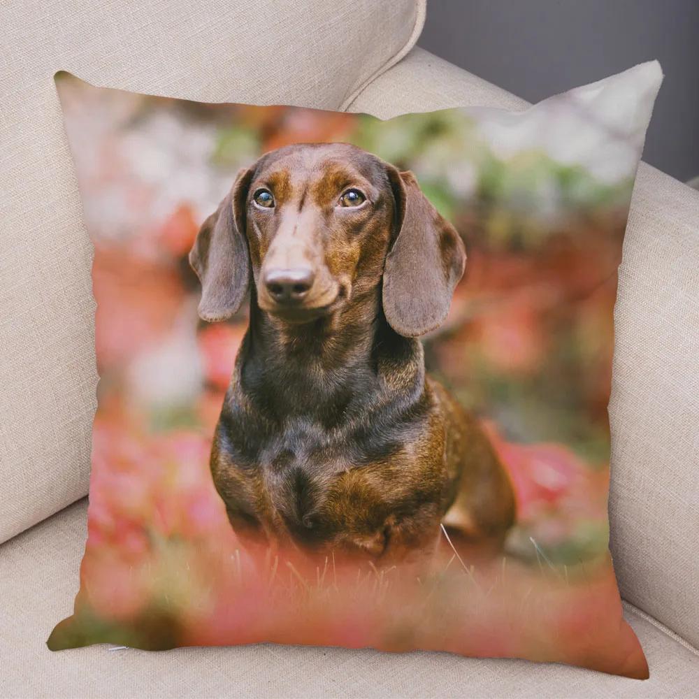 Mini Dackel Hund Kissenbezug Dekor Haustier Tier Kissenbezüge Superweicher Plüsch Kissenbezug für Sofa Zuhause Kinderzimmer 45x45cm
