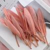 50Pcs Decorative Painting Feather Color Small Straight Knife Kindergarten Handmade Diy Decorative Wings Artwork Creative Art Materials