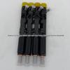 Delphi EJBR02701Z Injector: Compatible with Renault Delphi Common Rail Systems.
