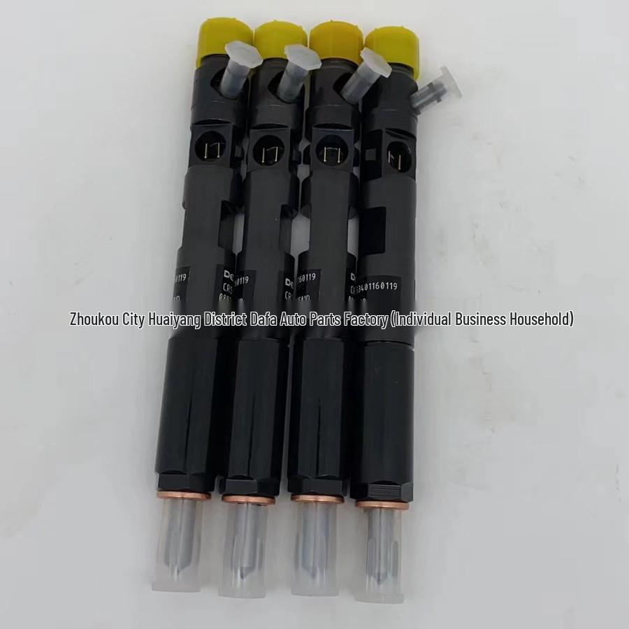 Delphi EJBR02701Z Injector: Compatible with Renault Delphi Common Rail Systems.