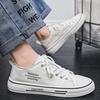 2025 Spring Breathable and Versatile Student Classic Cloth Shoes, Casual Canvas Shoes, Youth New Flat Sports Board Shoes