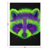 Purple and Green Raccoon Throw Blanket Soft Plush Plaid Christmas Gifts Christmas Decoration Thins Blankets