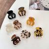 Luxury Fashion Headdress Small Shark Clip Korean Style Hair Clip Acetic Acid Women Hair Claw