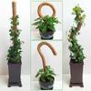 Stâlp flexibil din fibră de cocos și mușchi, 80 cm, Suport pentru plante Monstera, Grilaj extensie grădină pentru cățărare verticală - Ajutor pentru extensia plantelor