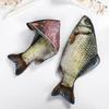 Creative Funny Crucian Carp Shape Pencil Bag Douyin Same Personality Funny Change Korean Version Simulation Crucian Carp Station