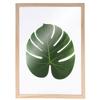 Frames for Herbarium - ARTEMIO - A4 - 6 Pieces - Wood - Beige - Removable
