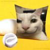Cat Memes Funny Meme Print Polyester Pillow Case for Valentine Gift Home Sofa Cushion Cover Decoration Custom