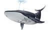 Doyusha 2.4GHz RC Whale Blue Electric Radio Control 00588