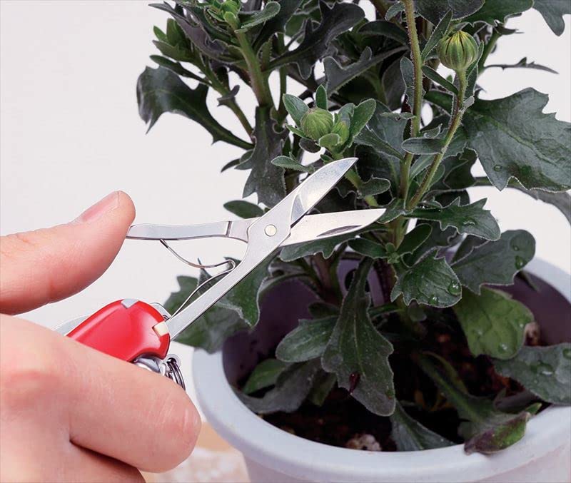 Victorinox Super Tinker Mango Rojo Longitud Total 91mm [Producto]