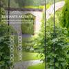 Rose Arch Made of Metal Climbing Aid for Climbing Plants Garden Arch with Point Metal Structure Archway Trellis Arch for Roses Arches Trellis Rose