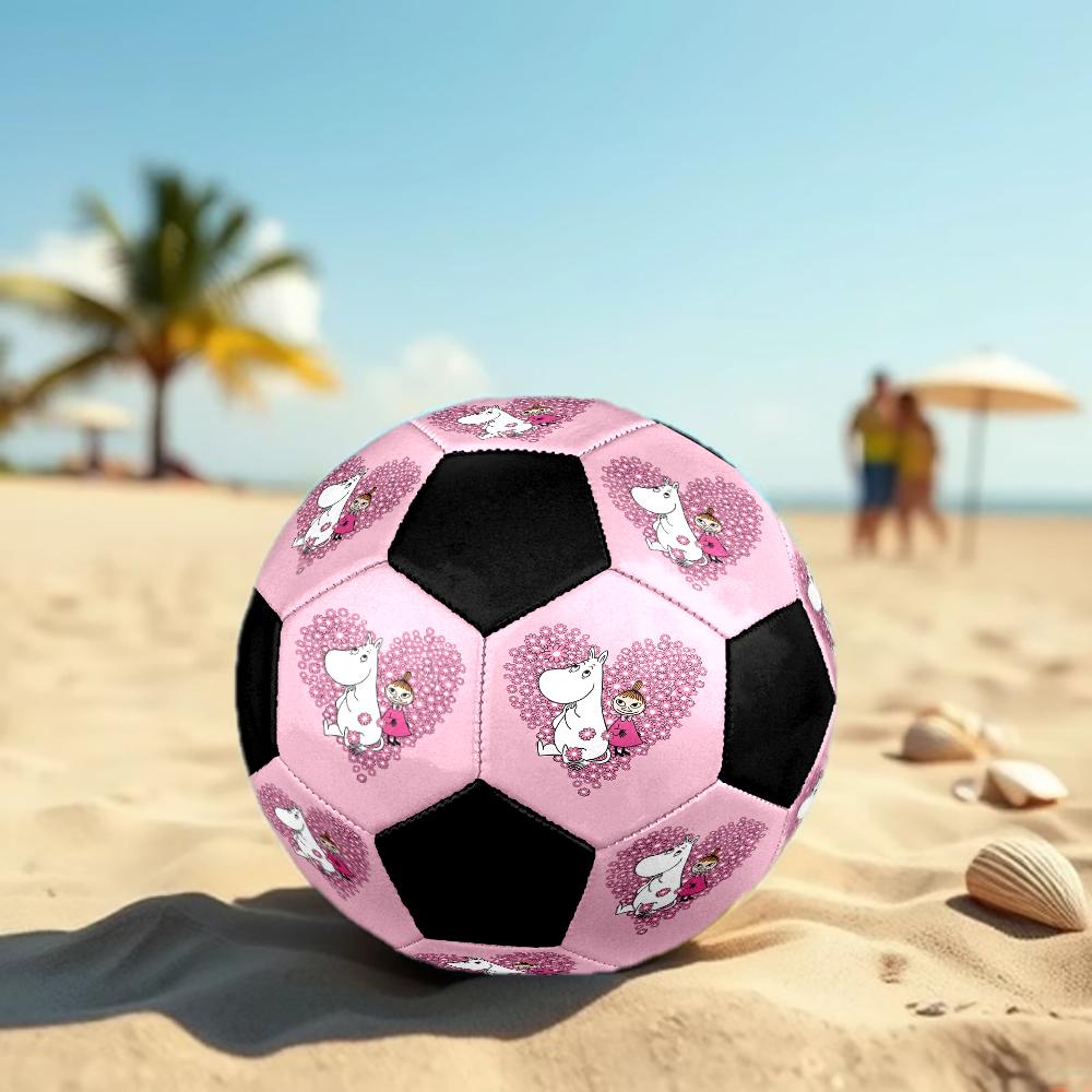 Moomin Theme Size 5 Soccer Ball, Suitable for Both Indoor and Outdoor Matches, a Gift Suitable for Everyone.