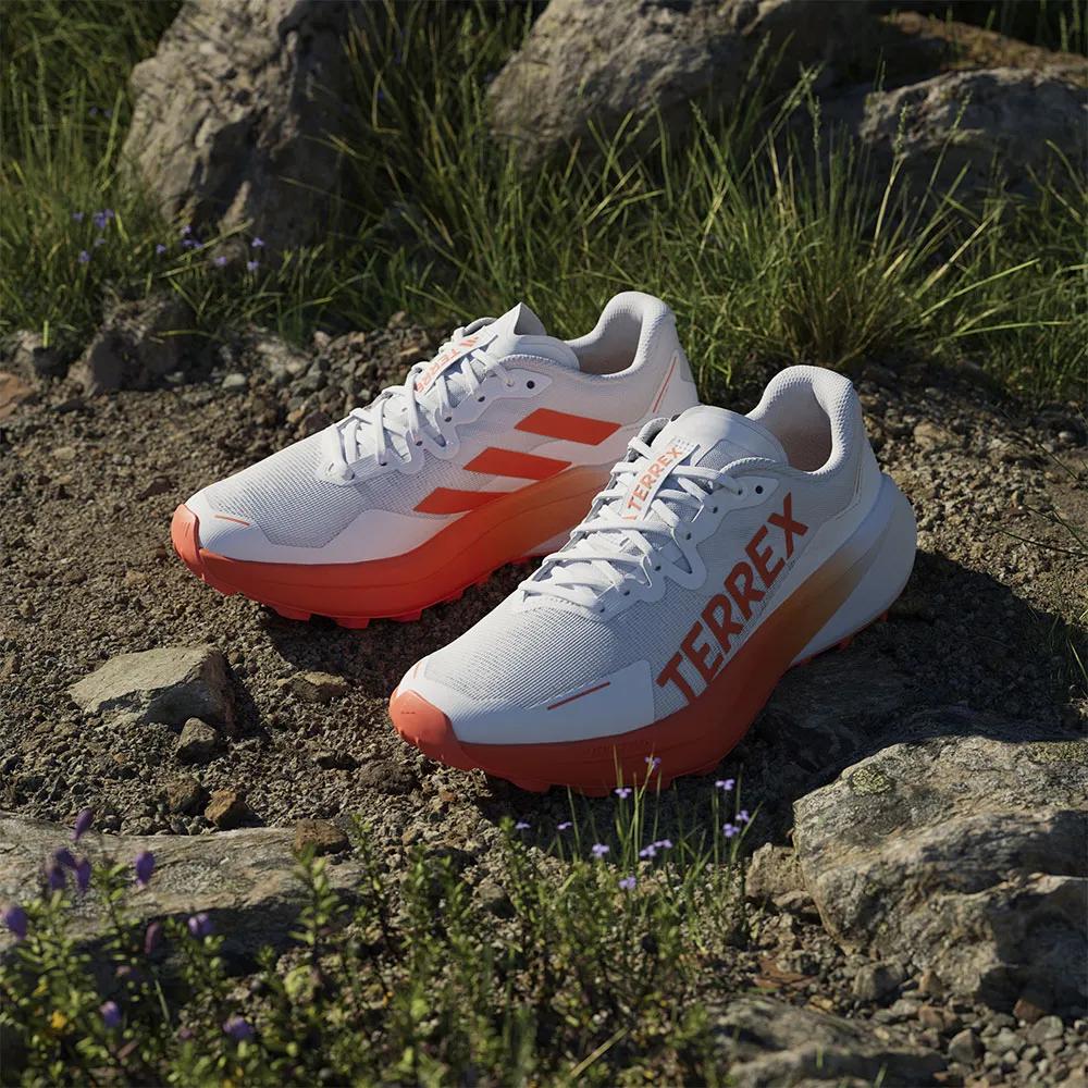 Adidas Trail Running Shoes Terrex Agravic 3