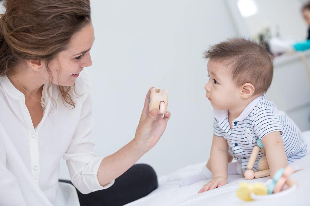 PLANTOYS Peekaboo Roller Pastel 5252