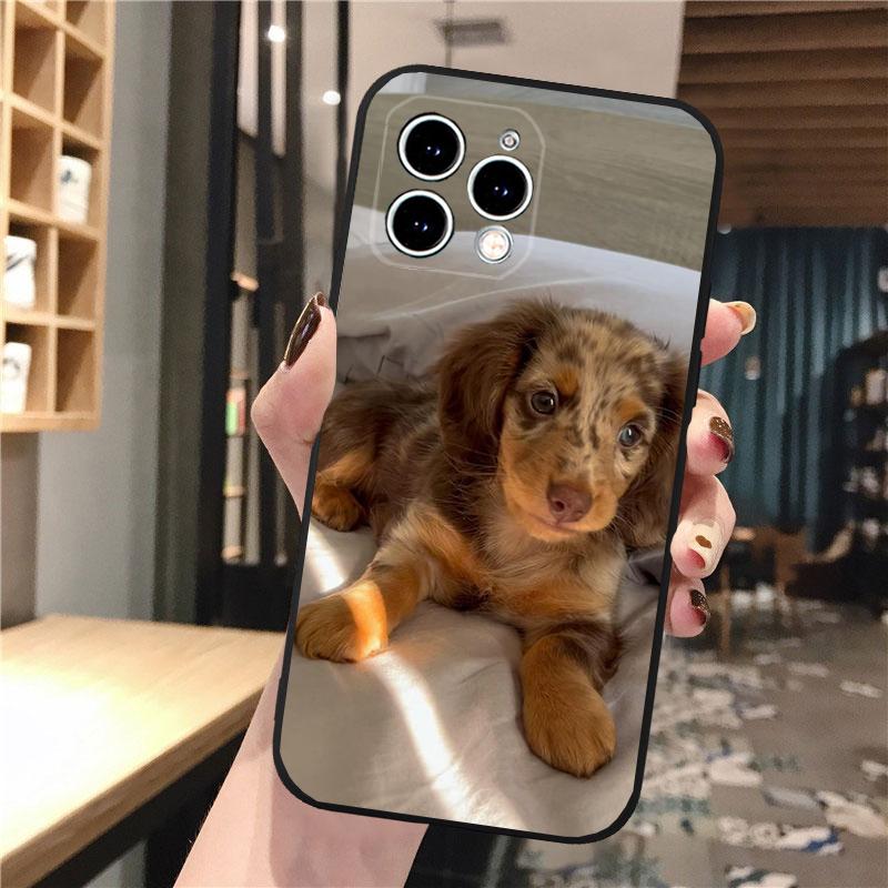 Phone Case Carcasa Funda For iPhone 17 Pro Max 17 Air 16 15 14 13 Pro Max 15 16 Pro 15Plus Dachshund Dog