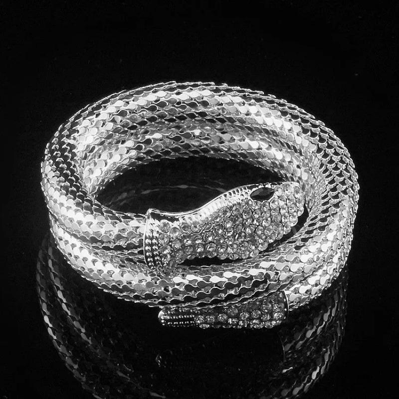 Punk Style Snake-shaped Winding Thick Bracelet Set with Retro Bracelet Jewelry