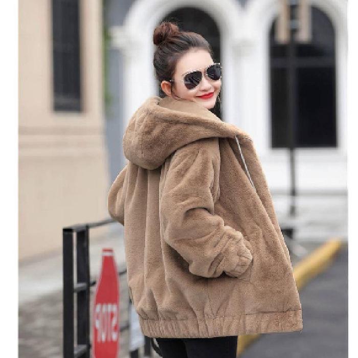 Flannel 2025 Korean Style Thick Hooded Women's Winter Loose Plush Long Sleeve Coat