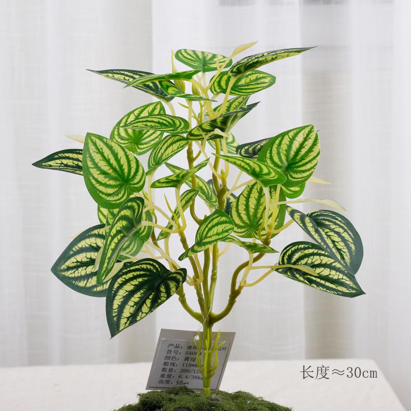Feel simulation Begonia leaf handle bundle chicken heart leaf watermelon leaf single plant wall leaf green leaf