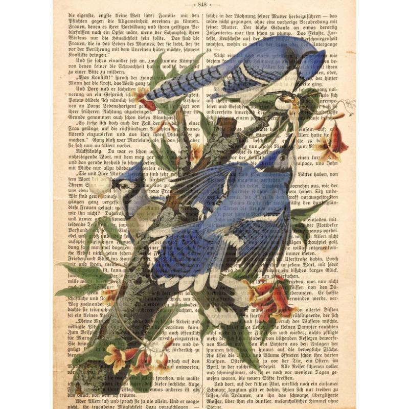 Garden Birds Prints On Old Antique Book Page Botanical Animals Poster and Prints Painting Wall Pictures Living Room Home Decor