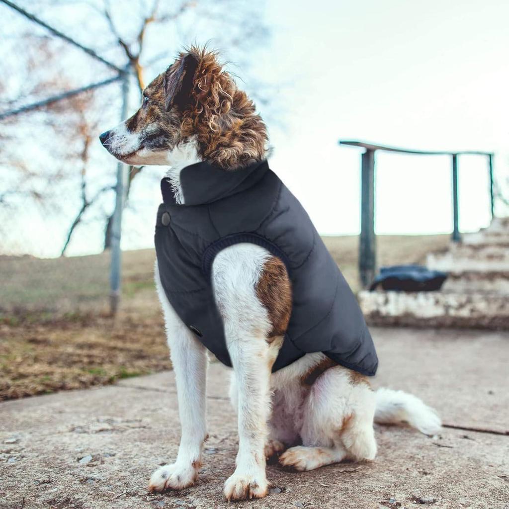 Waterproof Windproof Winter Dog Coat: Warm Pet Vest for Cold Weather
