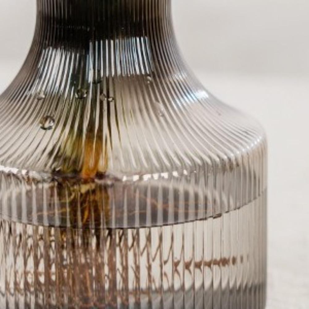 Neuer transparenter hydroponischer Pflanztopf Kunststoff Heimdekoration Pflanzenflasche Blumentopf